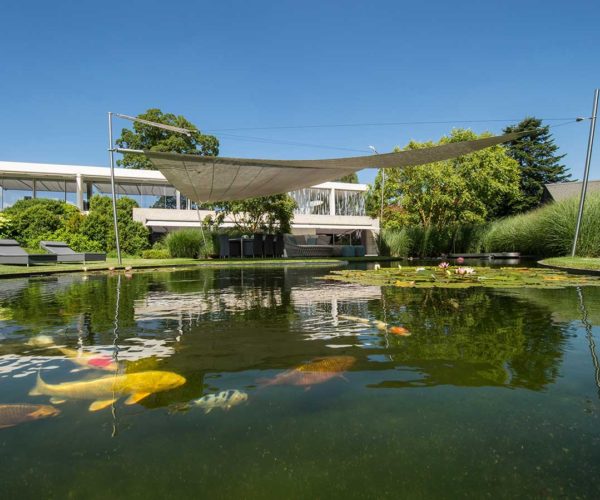 Architektur- und Immobilientfotografie Fotostudio Konstanz: Teich mit Fischen